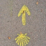 Jubileuszowa pielgrzymka Szlakiem św. Jakuba ze Skoczowa do Cieszyna 2025 - cz. 2 (Dębowiec - Cieszyn)