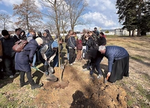 Drzewo  wspólnie z ósmoklasistami z Kobióra  zasadził  bp Marek Szkudło.