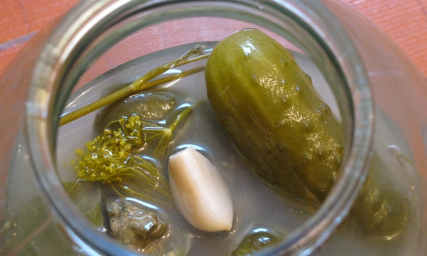 Badania potwierdzają korzystny wpływ kiszonek na przewód pokarmowy