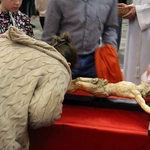 Liturgia męki Pańskiej 2025 w archikatedrze wrocławskiej