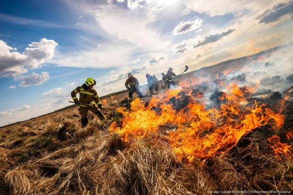 Gasznie pożaru suchych trzcinowisk