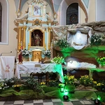 Płonne