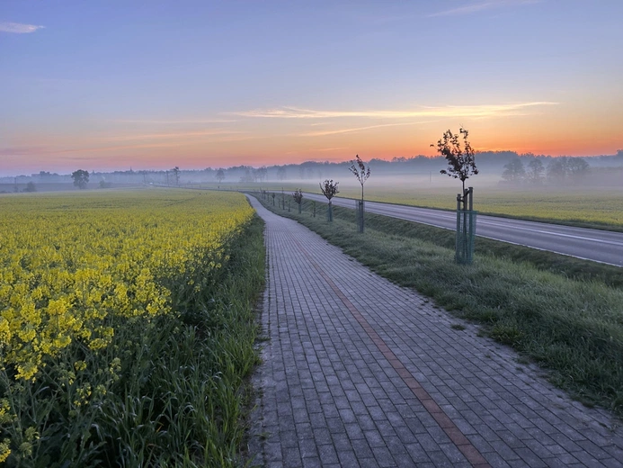 Droga Marii Magdaleny w Środzie Śląskiej 2025