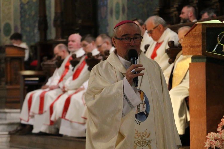 Płock. Msza za Ojca Świętego