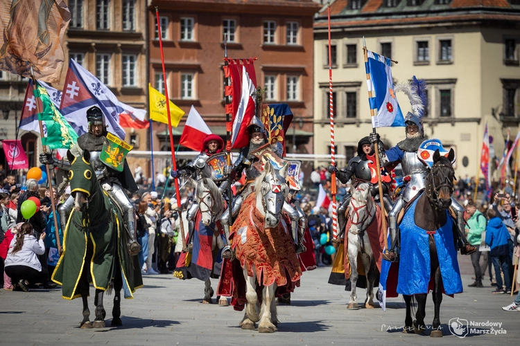 Wielka manifestacja na rzecz życia, rodziny i Królestwa Polskiego