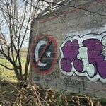 Nienawiść na ścianach
