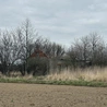 Nienawiść na ścianach
