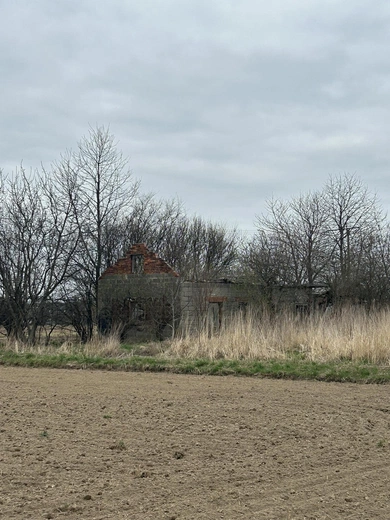 Nienawiść na ścianach