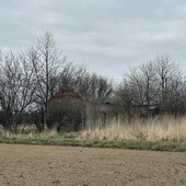 Nienawiść na ścianach