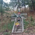 Leśny raj
