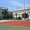 Mały świat wielkich różnic