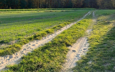 Droga przez naturę