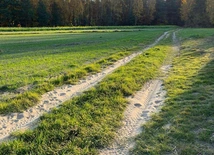 Droga przez naturę