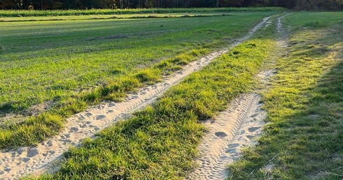 Droga przez naturę