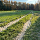 Droga przez naturę