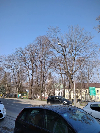 Zamknięta brama