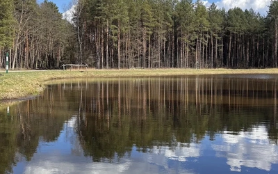 Gdy natura przemawia szeptem
