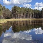 Gdy natura przemawia szeptem