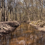Gdy natura przemawia szeptem