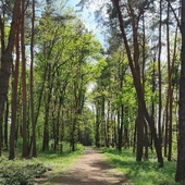 Zrozumienie wspaniałości i piękna świata