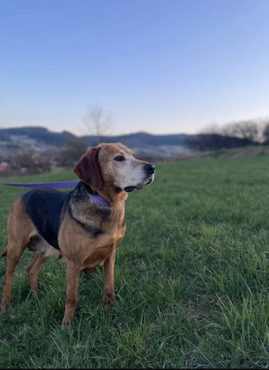 Od ciekawości do mądrości