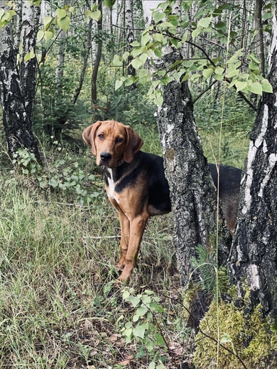Od ciekawości do mądrości