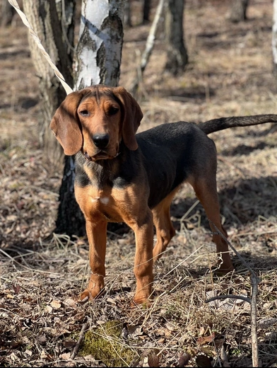 Od ciekawości do mądrości