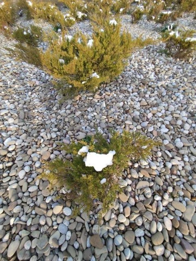 Wieczorny spokój nad Dunajcem