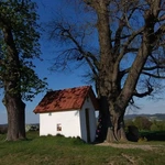 Wieczorny spokój nad Dunajcem