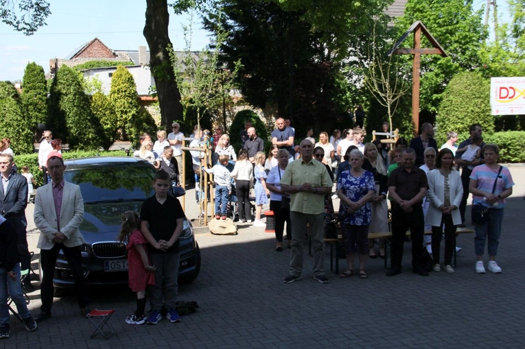Diecezjalne Święto Rodziny 2025