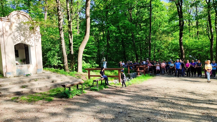 Pielgrzymkowa majówka z Sobótki do Sulistrowiczek