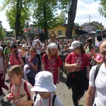 Msza św. pielgrzymów łagiewnickich w Hałcnowie - 2025
