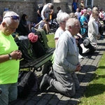 Msza św. pielgrzymów łagiewnickich w Hałcnowie - 2025