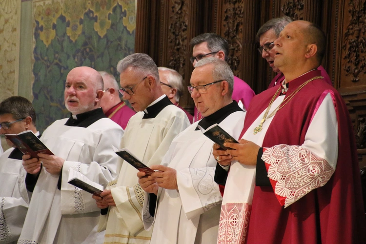 Płock. Uroczystości Zygmuntowskie