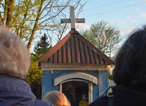 Tyś wielką chlubą naszego narodu