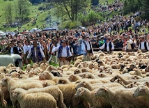 Owczarnia Pana Boga i baców