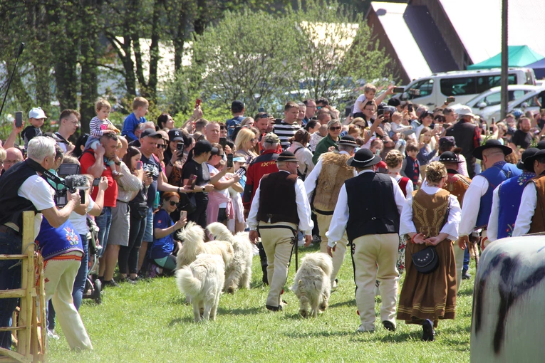 Błogosławieństwo owiec w Jaworkach