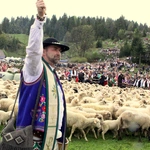 Błogosławieństwo owiec w Jaworkach