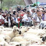Błogosławieństwo owiec w Jaworkach