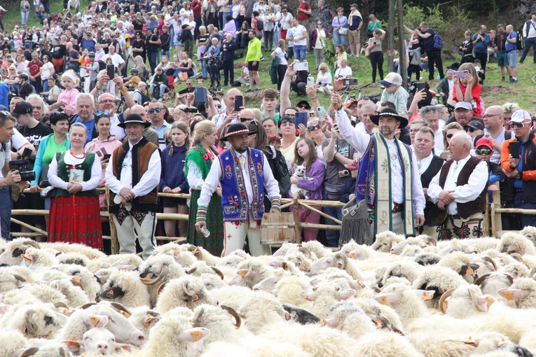 Błogosławieństwo owiec w Jaworkach