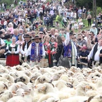 Błogosławieństwo owiec w Jaworkach
