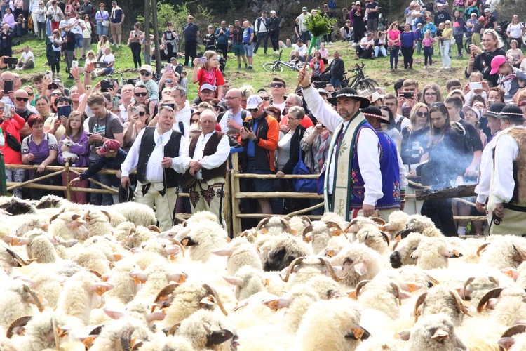 Błogosławieństwo owiec w Jaworkach
