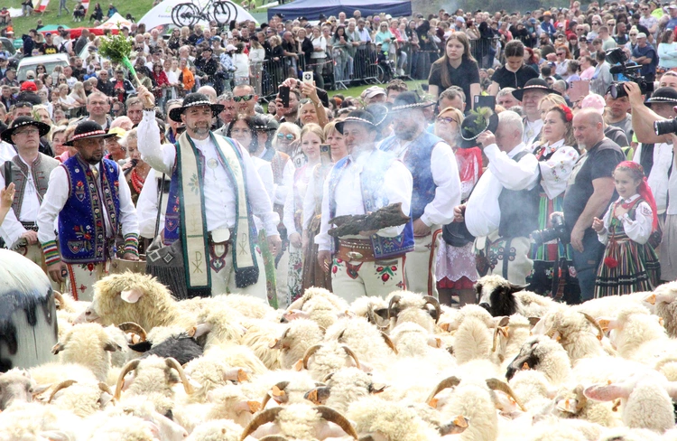 Błogosławieństwo owiec w Jaworkach