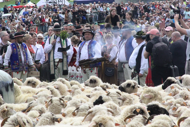 Błogosławieństwo owiec w Jaworkach