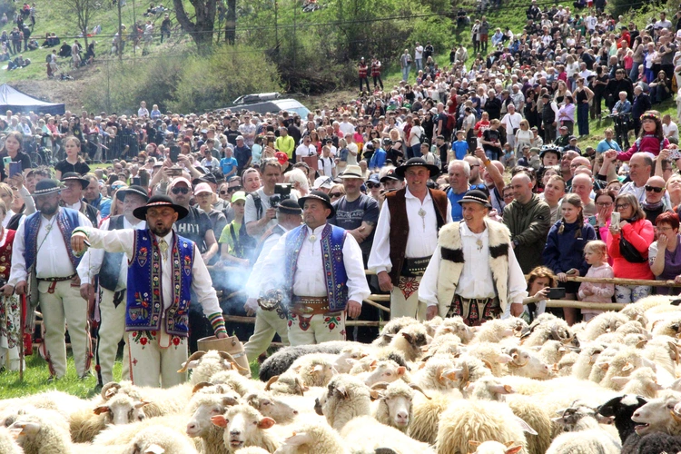 Błogosławieństwo owiec w Jaworkach