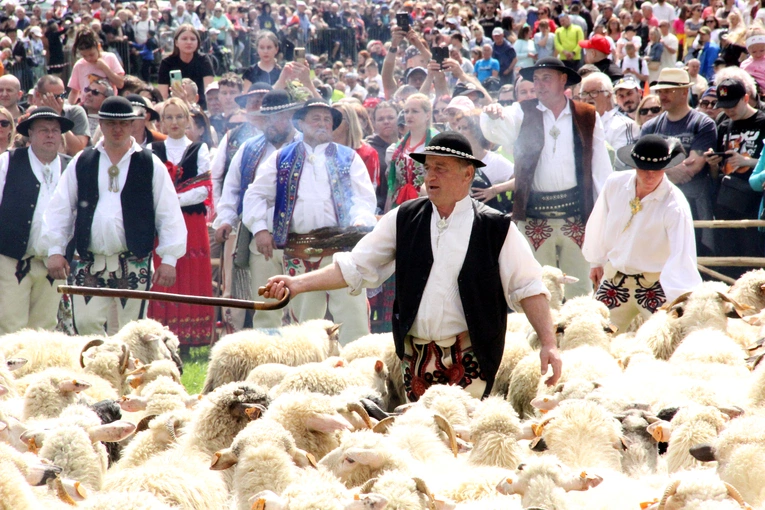 Błogosławieństwo owiec w Jaworkach