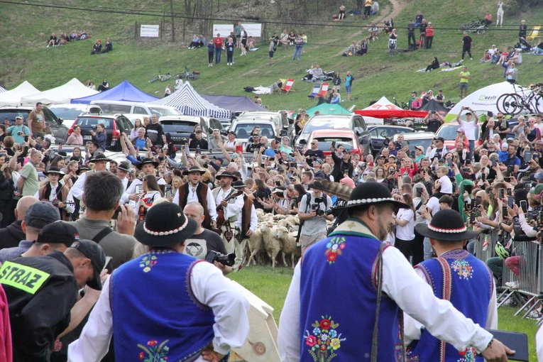 Błogosławieństwo owiec w Jaworkach