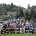 Błogosławieństwo owiec w Jaworkach