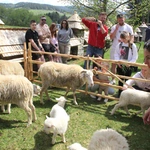 Błogosławieństwo owiec w Jaworkach