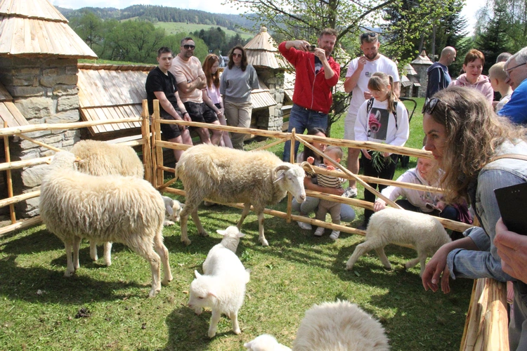 Błogosławieństwo owiec w Jaworkach